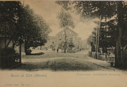 Elst (Betuwe) Groet Uit - Postkantoor Arnhemsche Straatweg Ca 1900 Vivat - Andere & Zonder Classificatie