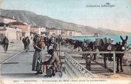 FRANCE - 06 - MENTON - Promenade Du Midi - Anes Pour La Promenade - Carte Postale Ancienne - Menton