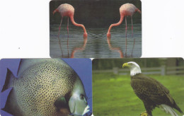 Liberia 3 Phonecards Magnetic - - - Animals - Liberia