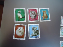 MONGOLIA   USED     STAMPS 5  ANIMALS  CAT CATS - Mongolie