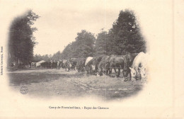 FRANCE - 77 - Camp De Fontainebleau - Repas Des Chevaux - Carte Postale Ancienne - Fontainebleau