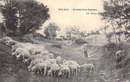 BELGIQUE - Niel-Asch - Souvenir De La Campine - Carte Postale Ancienne - Sonstige & Ohne Zuordnung