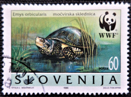 Slovénie 1996 WWF 1996 - European Pond Tortoise (Emys Orbicularis)  Stampworld N° 133 - Slovenia
