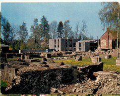 BAVAI SITE ARCHEOLOGIQUE - Bavay