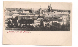 Carte Postale. SAINT HUBERT. Souvenir. - Saint-Hubert