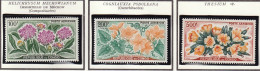 CONGO - Fleurs, Immortelle, Cogniauxia Podoleana, Thesium - PA 2-4 - 1961 - MNH - Nuevos