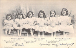 FAMILLES ROYALES - Prinzessin Sophie - Elisabeth - Antonia - Hilda - Charlotte - Maria Adelheid - Carte Postale Ancienne - Royal Families