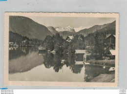 Altausseer See Mit Dachstein 1940 - Ausserland