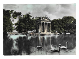 RP Italy Rome Villa Borghese Laghetto Pond Swans Glossy Real Photo 4x6 Postcard - Parks & Gardens