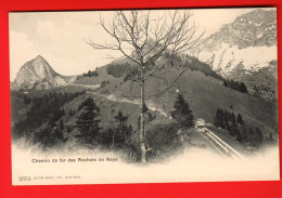 DAK-22  Chemin De Fer Des Rochers De Naye Train. Dos Simple. Burgy 2653 Non Circulé - Roche