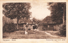 Nunspeet Zoom Lammertje Met Haar Geitje K5302 - Nunspeet