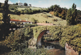 CPSM  - (64)- BIDARRAY - Vieux Pont Noblia Et Hôtel Du Pont D'Enfer (années 50-60) - Bidarray