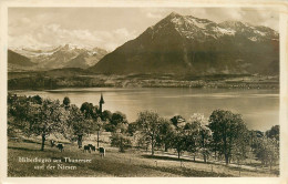 CPSM Hilterfingen Am Thunersee Und Der Niesen     L2142 - Hilterfingen