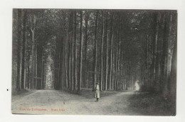 CPA-TERVUEREN " Parc Sous-bois " - Tervuren