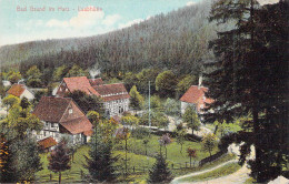 Bad Grund - Laubhütte Gel.1913 - Bad Grund