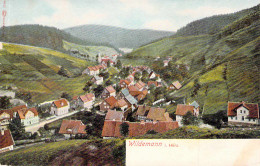 Wildemann - Panorama Blanc - Wildemann