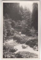 C6574) BÜRSERSCHLUCHT Bei BLUDENZ - Alt ! 1953 - Bludenz