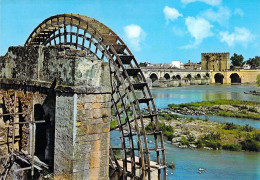 Cordoue (Cordoba) - Pont Romain Et Moulin à Eau - Córdoba