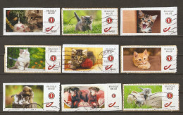 Belgique -  Duostamps -chats Et Chiens - Petit Lot De 9 Timbres Personnalisés Sur Fragments - Sonstige & Ohne Zuordnung