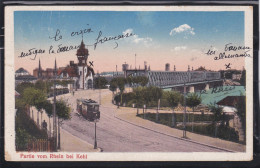 Partie Vom Rhein Bei Kehl - Rheine