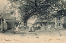 CELIGNY PLACE ARBRES ENFANTS 1904 - Céligny