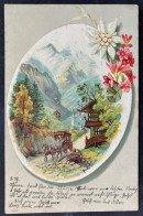 Künstlerkarte Pferdekutsche Alpenblumen / 1908 Gestempelt In Schoren (Langenthal) - Langenthal