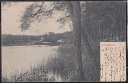 Grunewald, Krumme Lanke - Grunewald