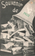 Souvenir De PECQ - Carte Circulé En 1906 Vers ROUBAIX - Pecq