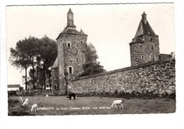 Sombreffe - Le Vieux Château Féodal , Vue Extérieur(e ) - Sombreffe