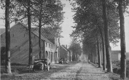 Belgique - Puers - Steenweg Naar Willebroeck - Barté D'Hooghe - Ste An Belge  - Carte Postale Ancienne - Puurs