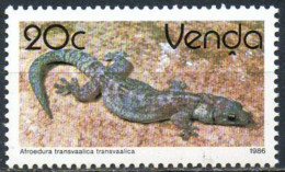VENDA Reptile, Reptiles, Afroedura Transvaalica  Yvert N° 131a Neuf Sans Charniere. MNH ** - Otros & Sin Clasificación
