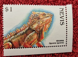 NEVIS Reptile, Reptiles, Iguane 1 Valeur Emise En 1999. Neuf Sans Charniere. MNH ** - Sonstige & Ohne Zuordnung