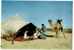 Republique Islamique De Mauritanie - Vie Nomade (famille Sous La Tente, Chamelier & Chameau - Mauritanie