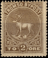 NORVÈGE / NORWAY - Local Post TROMSØ 2öre Drab (1882) - Mint* - Local Post Stamps