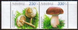 Armenia MNH Cat# 642-643 Mushrooms Set Of 2 Se-tenant Stamps Scott #965-966 Date Of Free Shipping - Armenia