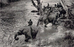 CONGO - Le Bain Des Eléphants - Carte Postale Animée - Autres & Non Classés