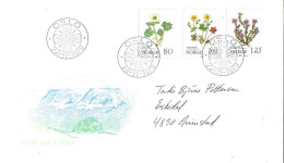 Norge Norway 1979 Mountain Flowers, Mi 806-808, FDC - Lettres & Documents