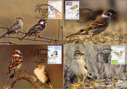 BULGARIA 2017, FAUNA, MAXIMUM-CARDS With SPARROWS From BULGARIA, VERY RARE(ONLY 10 UNITS), GOOD QUALITY - Usati