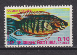 1975 Äquatorial-Guinea, Mi:GQ 689, Yt:GQ  72-B,  Fishes (I) Exotic, Thick-lipped Gourami (Colisa Labiosa - Guinée Equatoriale