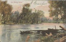 AUSTRALIA - NSW - THE MURRAY RIVER - 1907 - Albury