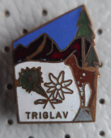 Triglav Alpinism, Mountaineering Slovenia Vintage Enamel  Pin - Alpinismo, Escalada