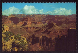 AK 125495 USA - Arizona - Grand Canyon - Grand Canyon