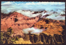 AK 125496 USA - Arizona - Grand Canyon - Grand Canyon