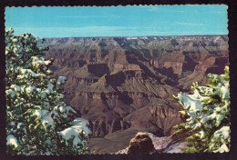 AK 125499 USA - Arizona - Grand Canyon - Grand Canyon
