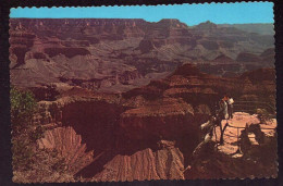 AK 125501 USA - Arizona - Grand Canyon - Grand Canyon