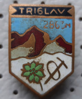 Triglav 2863m Alpinism, Mountaineering Slovenia Vintage Enamel  Pin - Alpinisme