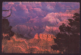 AK 125504 USA - Arizona - Grand Canyon - Grand Canyon