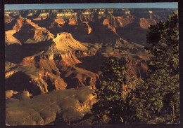 AK 125505 USA - Arizona - Grand Canyon - Grand Canyon