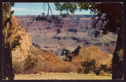AK 125511 USA - Arizona - Grand Canyon - Gran Cañon