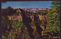 AK 125512 USA - Arizona - Grand Canyon - Gran Cañon